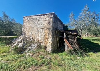 20251008_152253.jpg - Villa Via Sant'Antonio, Lugnano in Teverina - photo 3