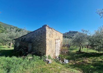 20251008_152358.jpg - Villa Via Sant'Antonio, Lugnano in Teverina - photo 5