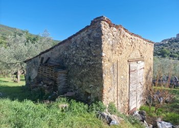 20251008_152403.jpg - Villa Via Sant'Antonio, Lugnano in Teverina - photo 6