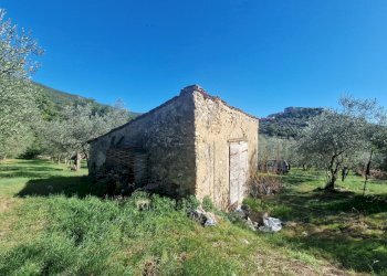 20251008_152420.jpg - Villa Via Sant'Antonio, Lugnano in Teverina - photo 7