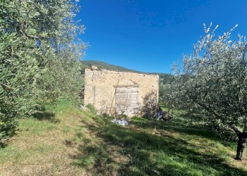 20251008_152434.jpg - Villa Via Sant'Antonio, Lugnano in Teverina - photo 8