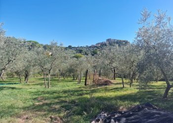 20251008_152521.jpg - Villa Via Sant'Antonio, Lugnano in Teverina - photo 10