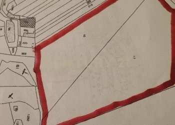 1763555193366.jpg - Agricultural land Via Gravina Girolamo, Catania - photo 1