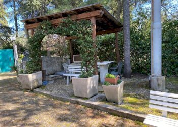 879d3463-ec09-42c0-8196-551a4923a757.jpeg - Casale Massignano, Ancona (zona Collemarino) - foto 14