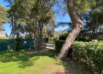 9dd15b70-7448-49ad-a871-c8478592315e.jpeg - Casale Massignano, Ancona (zona Collemarino) - foto 15