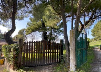 895d0cb0-d2c3-4fcb-954b-ac9da827062f.jpeg - Casale Massignano, Ancona (zona Collemarino) - foto 17