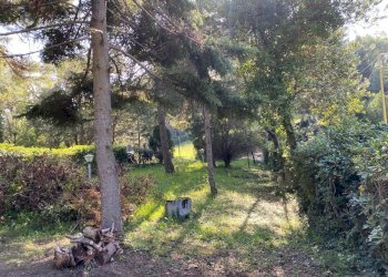 c2d31651-7c84-4a92-a424-05d17ecb083b.jpeg - Casale Massignano, Ancona (zona Collemarino) - foto 25