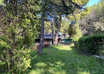 cc3a8b21-be18-4405-b8cd-d9a36ff7401e.jpeg - Casale Massignano, Ancona (zona Collemarino) - foto 27