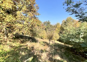 Villa Via San Maurizio, Vignolo - foto 22