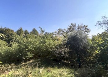 Villa Via San Maurizio, Vignolo - foto 54