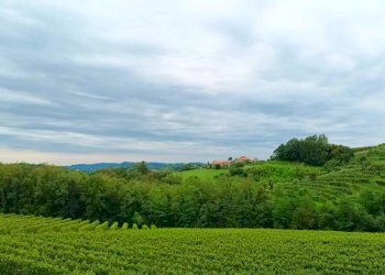 Villa Refrontolo - photo 14