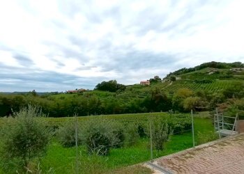 Villa Refrontolo - photo 63