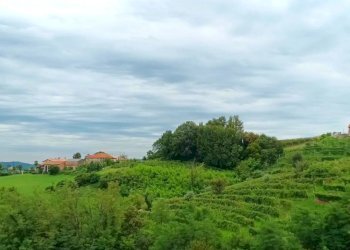 Villa Refrontolo - photo 64