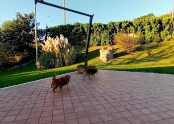 Villa Refrontolo - photo 72