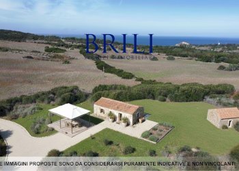 Terreno agricolo Contraruia Portobello, Aglientu - foto 3