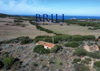 Terreno agricolo Contraruia Portobello, Aglientu - foto 4