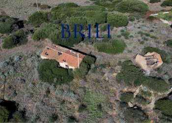 Terreno agricolo Contraruia Portobello, Aglientu - foto 5