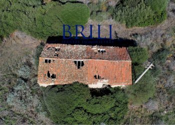 Terreno agricolo Contraruia Portobello, Aglientu - foto 6