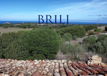 Terreno agricolo Contraruia Portobello, Aglientu - foto 7