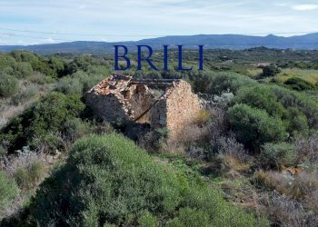 Terreno agricolo Contraruia Portobello, Aglientu - foto 9