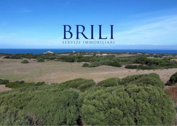 Terreno agricolo Contraruia Portobello, Aglientu - foto 10