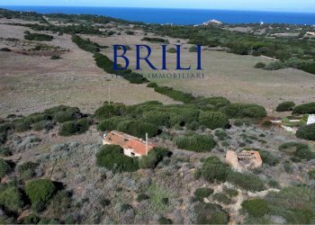 Terreno agricolo Contraruia Portobello, Aglientu - foto 11