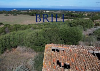 Terreno agricolo Contraruia Portobello, Aglientu - foto 12