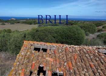 Terreno agricolo Contraruia Portobello, Aglientu - foto 13