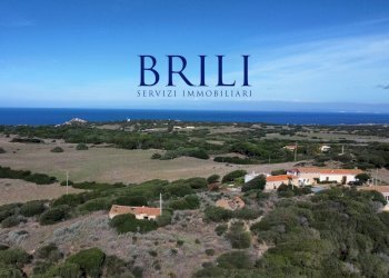 Terreno agricolo Contraruia Portobello, Aglientu - foto 15