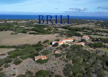 Terreno agricolo Contraruia Portobello, Aglientu - foto 16