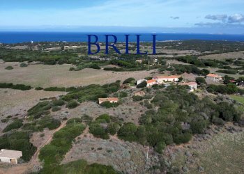 Terreno agricolo Contraruia Portobello, Aglientu - foto 17