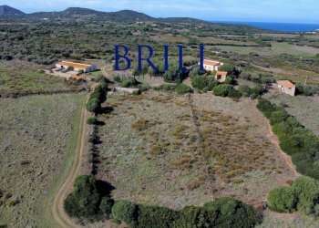 Terreno agricolo Contraruia Portobello, Aglientu - foto 18