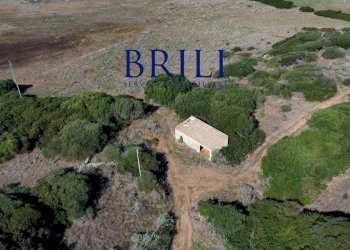 Terreno agricolo Contraruia Portobello, Aglientu - foto 19