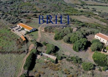 Terreno agricolo Contraruia Portobello, Aglientu - foto 20