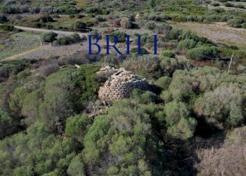 Terreno agricolo Contraruia Portobello, Aglientu - foto 21