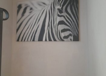 One-room apartment Via XXV Aprile, Genova - photo 16