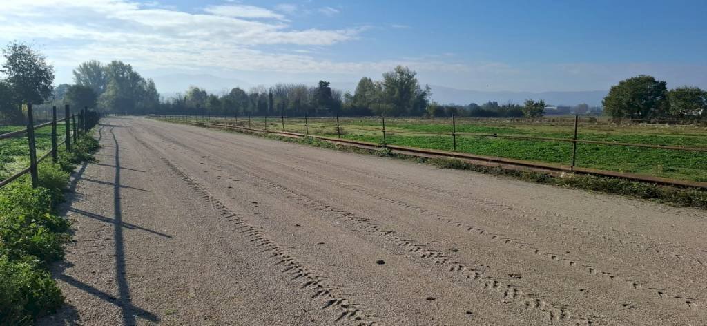 Building land Terni - photo 2