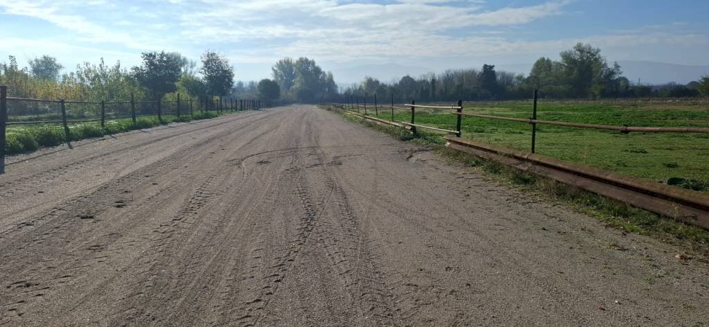 Building land Terni - photo 3