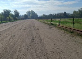 Building land Terni - photo 3