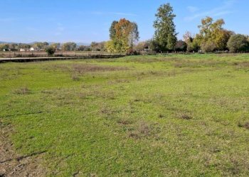 Building land Terni - photo 4