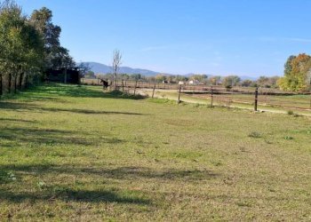 Building land Terni - photo 6