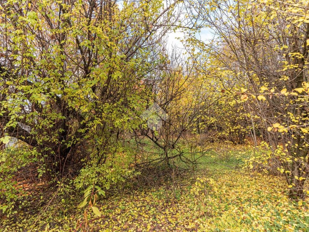 Agricultural land Corso Generale Carlo Alberto dalla Chiesa, Ciriè - photo 1