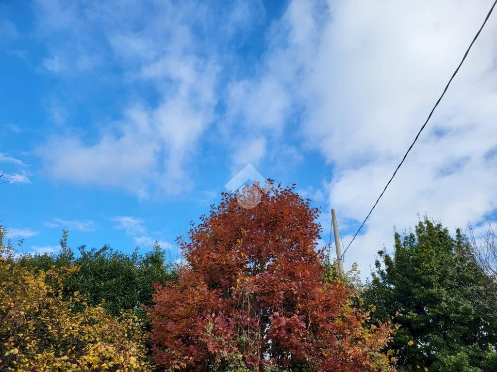 Agricultural land Corso Generale Carlo Alberto dalla Chiesa, Ciriè - photo 3