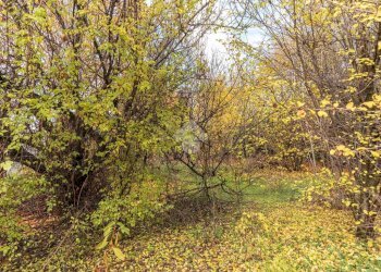 Terreno agricolo Corso Generale Carlo Alberto dalla Chiesa, Ciriè - foto 1