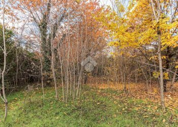 Terreno agricolo Corso Generale Carlo Alberto dalla Chiesa, Ciriè - foto 2