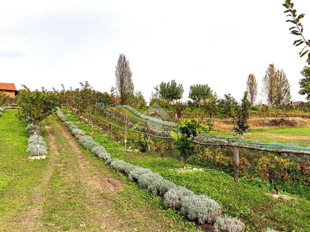 Casa indipendente Località cascinetto, Ciriè - foto 3