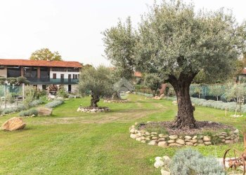 Casa indipendente Località cascinetto, Ciriè - foto 1