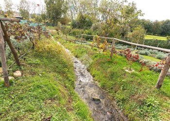 Casa indipendente Località cascinetto, Ciriè - foto 2