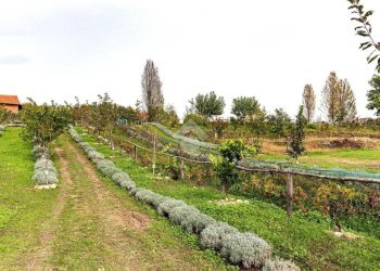 Casa indipendente Località cascinetto, Ciriè - foto 3