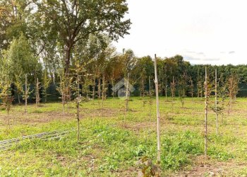 Casa indipendente Località cascinetto, Ciriè - foto 4